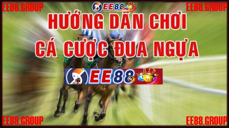 Hướng dẫn chi tiết cách chơi cá cược đua ngựa EE88 trực tuyến